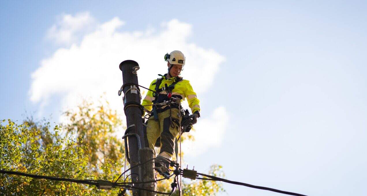 A OneCo worker is seen repairing a telegraph pole with climbing gear on.